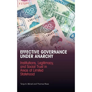 Effective Governance Under Anarchy: Institutions, Legitimacy, and Social Trust in Areas of Limited Statehood