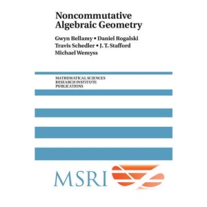 Noncommutative Algebraic Geometry: 64 (Mathematical Sciences Research Institute Publications, Series Number 64)