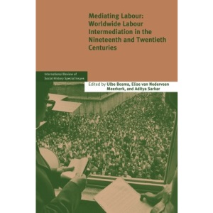 Mediating Labour: Worldwide Labour Intermediation In The Nineteenth And Twentieth Centuries: 20 (International Review of Social History Supplements, Series Number 20)