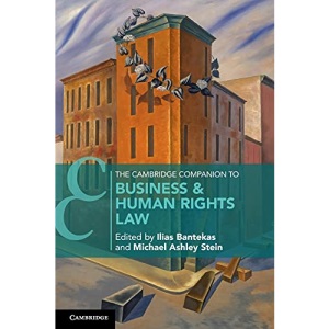 The Cambridge Companion to Business & Human Rights Law (Cambridge Companions to Law)