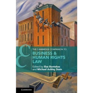 The Cambridge Companion to Business and Human Rights Law (Cambridge Companions to Law)