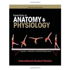 Essentials of Anatomy and Physiology: International Student Version