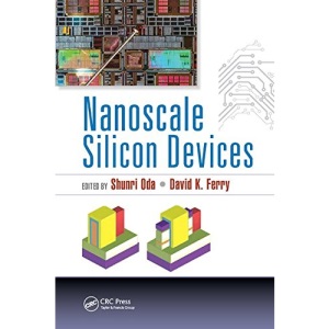 Nanoscale Silicon Devices