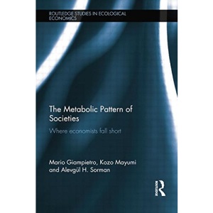 The Metabolic Pattern of Societies: Where Economists Fall Short (Routledge Studies in Ecological Economics)