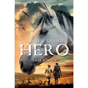 A Horse Called Hero