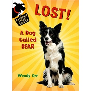 Lost! a Dog Called Bear (Rainbow Street Shelter)