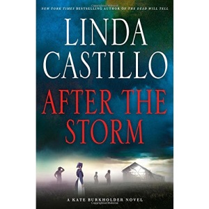 After the Storm: A Kate Burkholder Novel