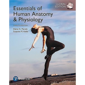 Essentials of Human Anatomy & Physiology, Global Edition