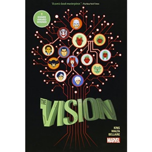 Vision (The Vision)