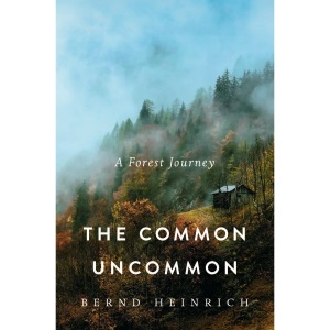 The Common Uncommon: A Forest Journey