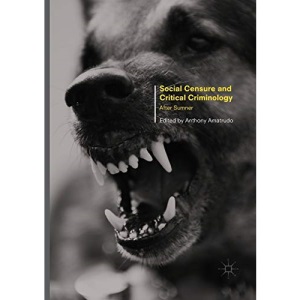 Social Censure and Critical Criminology: After Sumner