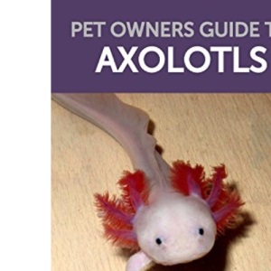 Pet Owners Guide to Axolotls