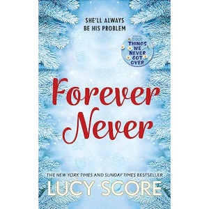 Forever Never: an unmissable and steamy romantic comedy from the author of Things We Never Got Over