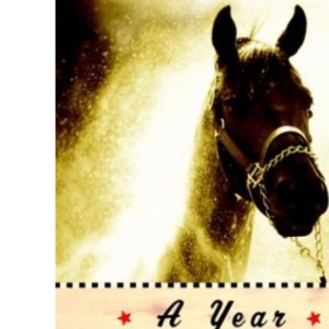 A Year at the Races: Reflections on Horses, Humans, Love, Money & Luck