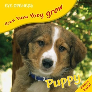 Puppy (My First Touch and Feel)