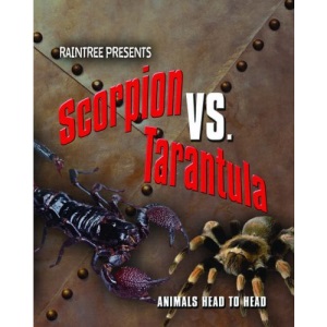 Scorpion Versus Tarantula  (Raintree: Animals Head to Head)