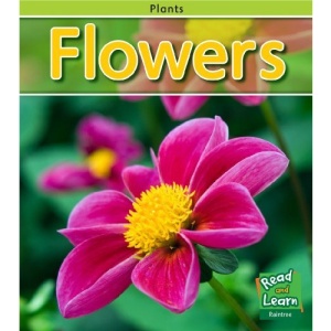 Flowers (Plants)