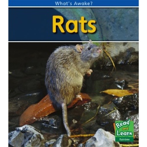 Rats (Read and Learn: What's Awake?)