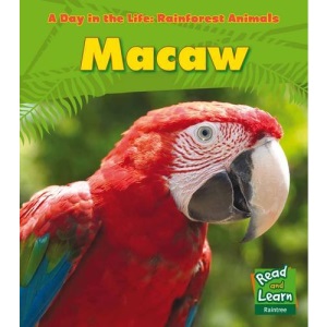 Macaw (A Day in the Life: Rainforest Animals)