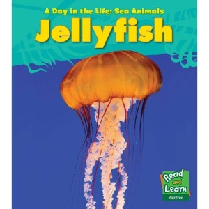 Jellyfish (A Day in the Life: Sea Animals)