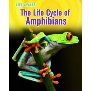 The Life Cycle of Amphibians (Life Cycles)