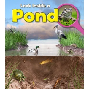 Pond (Look Inside)