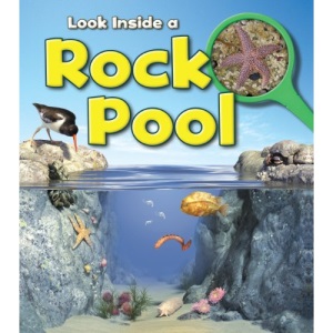Rock Pool (Look Inside)
