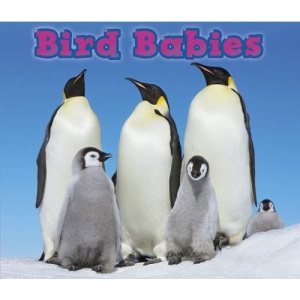 Bird Babies (Animal Babies)