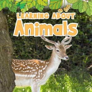 Learning About Animals (The Natural World)