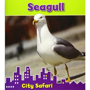 Seagull: City Safari
