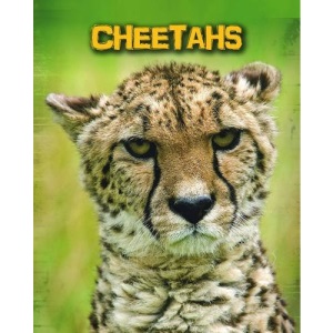 Cheetahs (Living in the Wild: Big Cats)