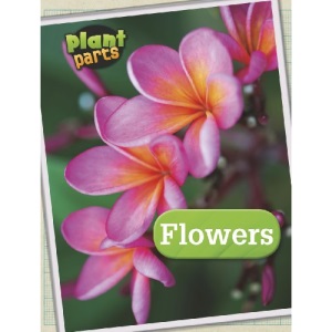 Flowers (Plant Parts)