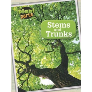 Stems and Trunks (Plant Parts)