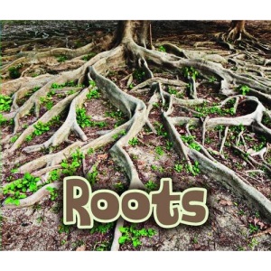 All About Roots (All About Plants)