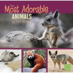 The Most Adorable Animals in the World (All About Animals)