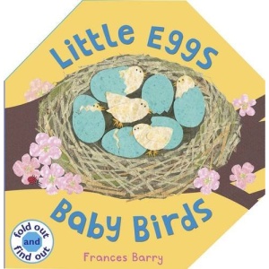 Little Eggs, Baby Birds (Fold Out and Find Out)