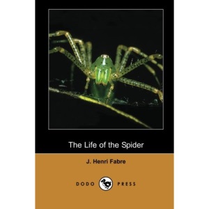The Life of the Spider (Dodo Press): Modern Entomologic Book Of The Early Twentieth Century By The Physicist And Botanist Jean-Henri Fabre. He Is ... Many To Be The Father Of Modern Entomology.