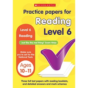 Reading Level 6 (Practice Papers National Tests)