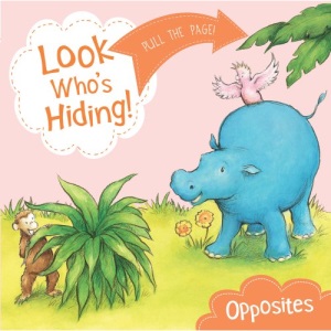 Look Who's Hiding: Opposites