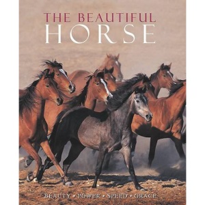 The Beautiful Horse