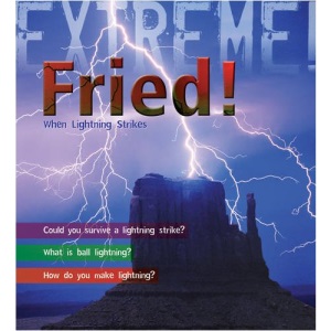 Extreme Science: Fried!: When Lightning Strikes