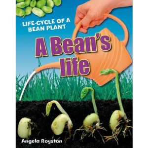 A Bean's Life: Age 6-7, Below Average Readers (White Wolves Non Fiction)