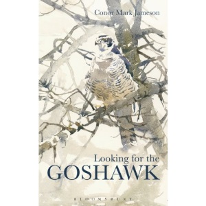 Looking for the Goshawk