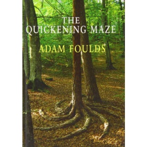The Quickening Maze
