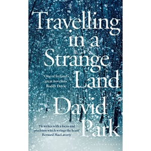 Travelling in a Strange Land: Winner of the Kerry Group Irish Novel of the Year