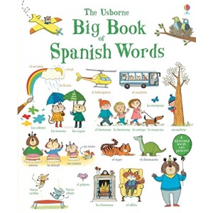 Big Book of Spanish Words (Big Book of Words)
