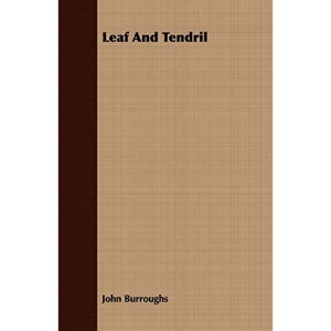 Leaf and Tendril
