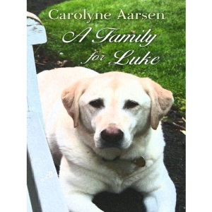 A Family for Luke (Thorndike Christian Romance)