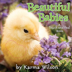 Beautiful Babies (Touch and Feel)