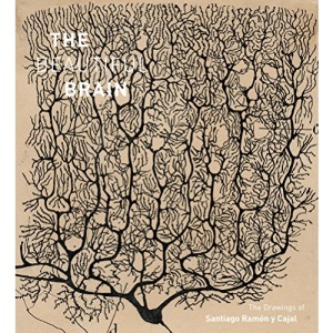 The Beautiful Brain: The Drawings of Santiago Ramon y Cajal